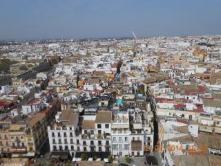 DSCN5277.JPG