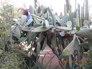 DSCN5408.JPG