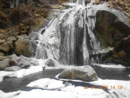 DSCN8439.JPG