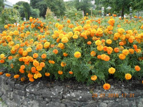 DSCN1609.JPG