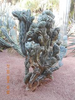 DSCN5421.JPG