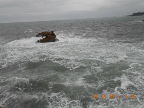 DSCN2963.JPG