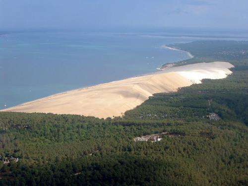 DunePyla2.jpg