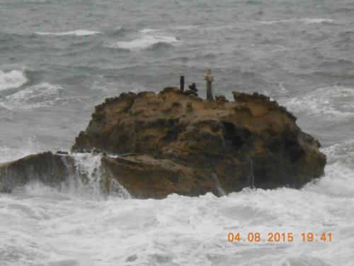 DSCN2958.JPG