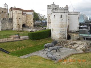 DSCN2592.jpg