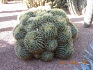 DSCN5419.JPG