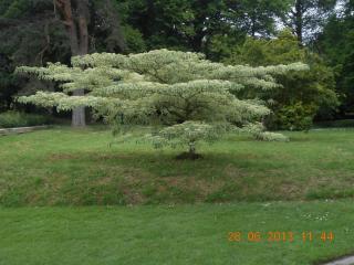 DSCN3312.jpg