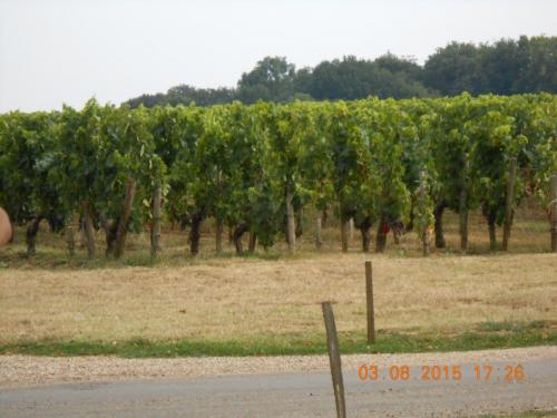 DSCN2705.JPG