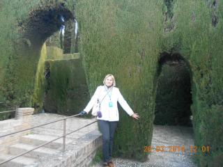 DSCN6155.JPG