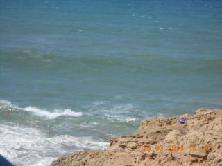 DSCN5622.JPG