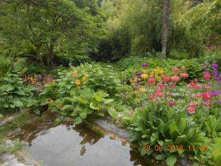DSCN3289.jpg