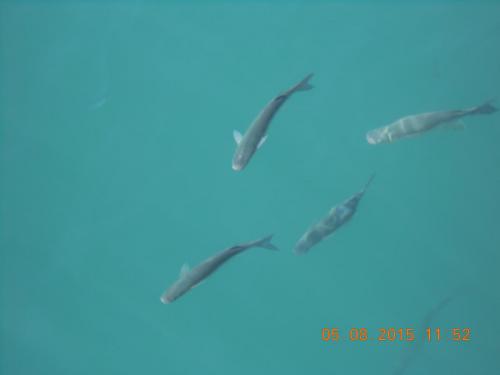 DSCN3053.JPG