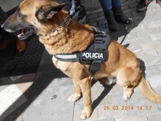 DSCN6182.JPG