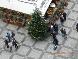 DSCN3539.jpg