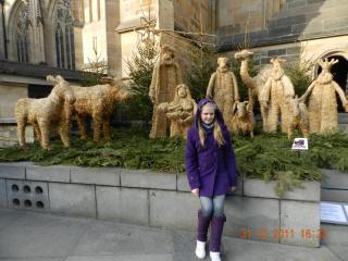DSCN3167.jpg