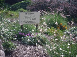 DSC08004.JPG