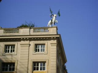 DSC07788.JPG