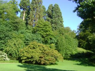 DSC08517.JPG