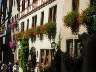 DSC08599.JPG