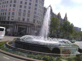 DSC07526.JPG