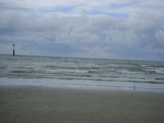 DSC08143.JPG
