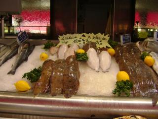 DSC08160.JPG
