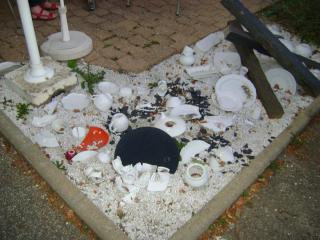 DSC07587.JPG