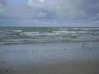 DSC08137.JPG
