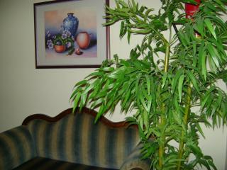 DSC06767.JPG