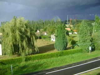 DSC08191.JPG