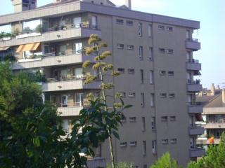 DSC07424.JPG
