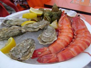 DSC08171.JPG