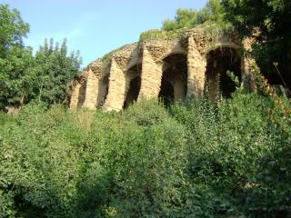 DSC07430.JPG