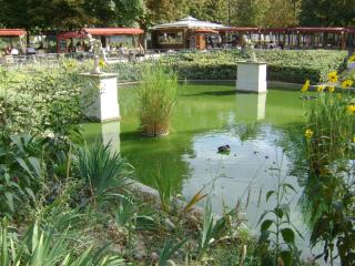 DSC07740.JPG