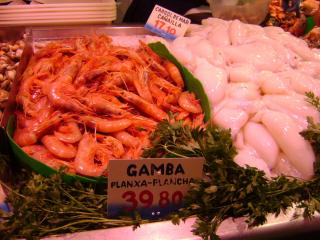 DSC07566.JPG