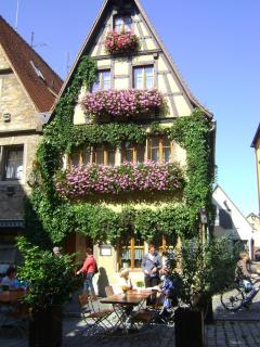 DSC08594.JPG
