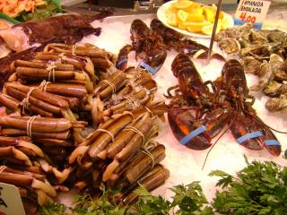 DSC07564.JPG