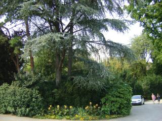 DSC06721.JPG