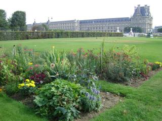 DSC07729.JPG