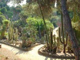 DSC06947.JPG