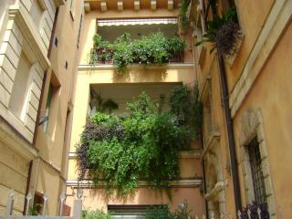DSC06798.JPG
