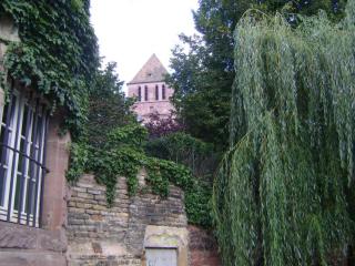 DSC08339.JPG