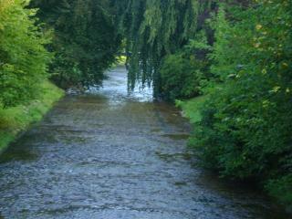 DSC08447.JPG