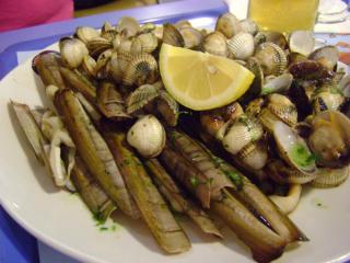 DSC07572.JPG