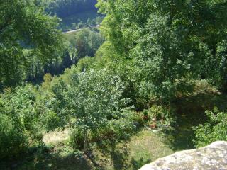 DSC08633.JPG