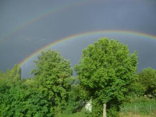 DSC08182.JPG