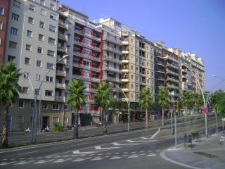 DSC07423.JPG