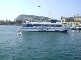 DSC07546.JPG