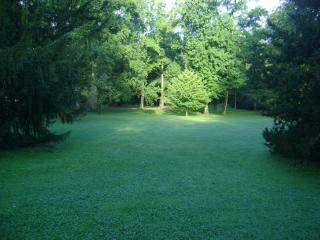DSC08450.JPG