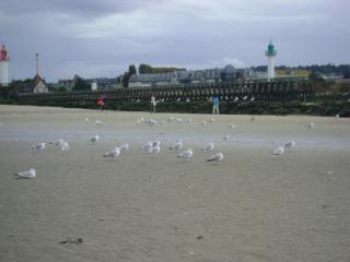 DSC08142.JPG